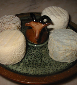 dégustation fromage de chèvre Sancerre