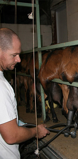 Producteurs de fromages de chèvre